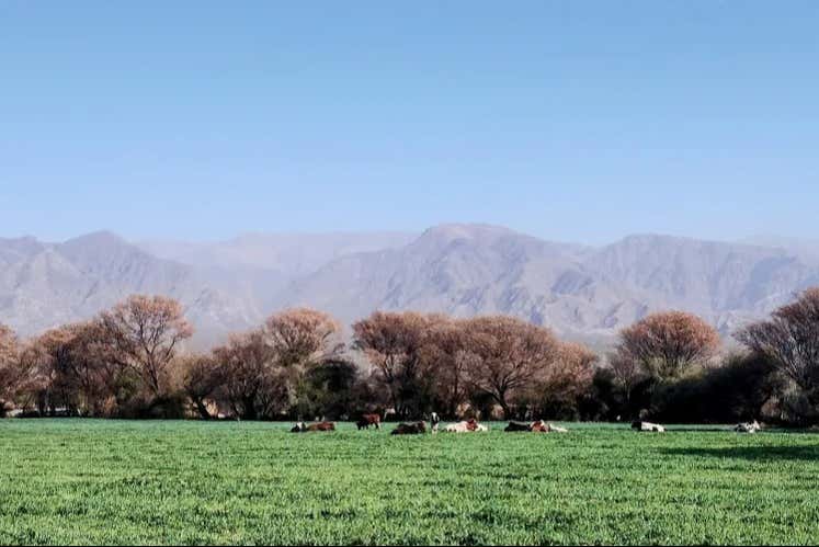 Paisagens de San José