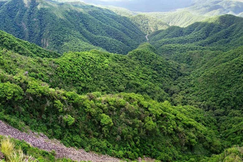 The Argentine yungas