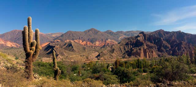 Excursión a Tafí del Valle, ruinas de Quilmes y Cafayate