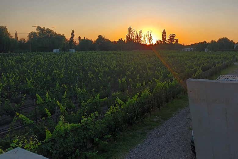 Make the most of your time in San Rafael!