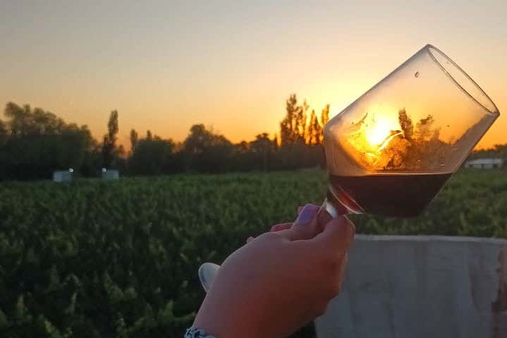 Enjoy a wine tasting at sunset