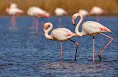 Escursione alla laguna de los Pozuelos