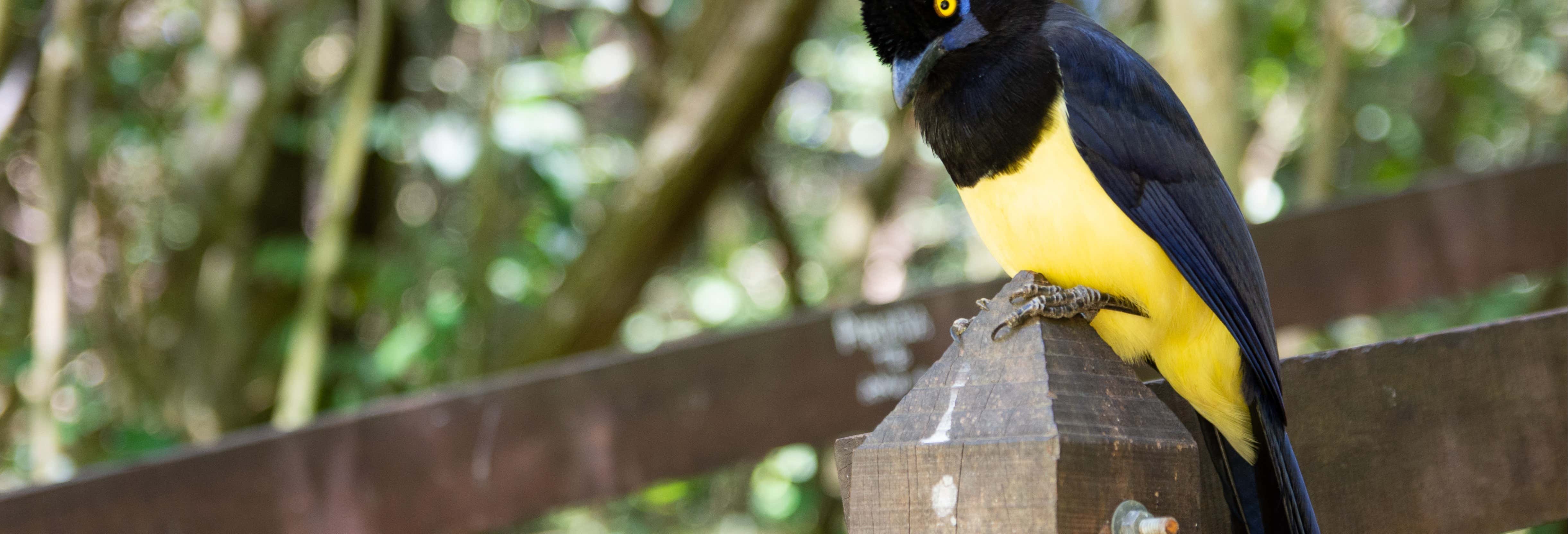 Excursiones de un día en San Salvador de Jujuy