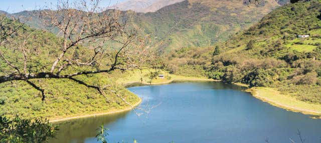 Excursión a las Termas de Reyes y lagunas de Yala