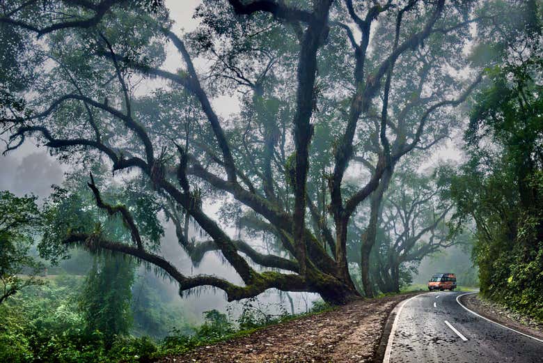 Escursione al Parco Nazionale di Calilegua