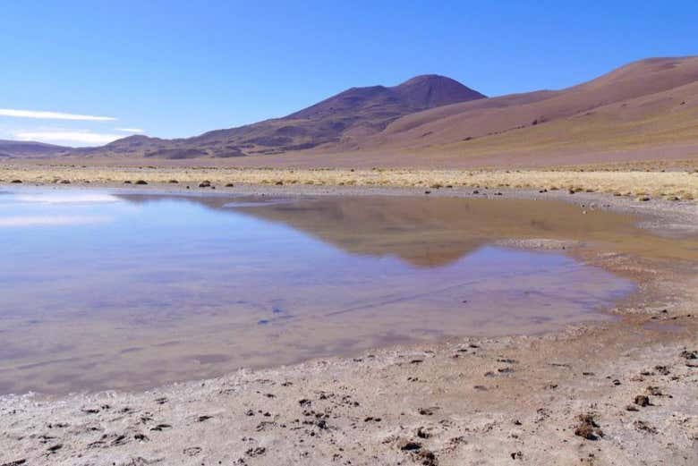 Panorámica de la laguna de los Pozuelos