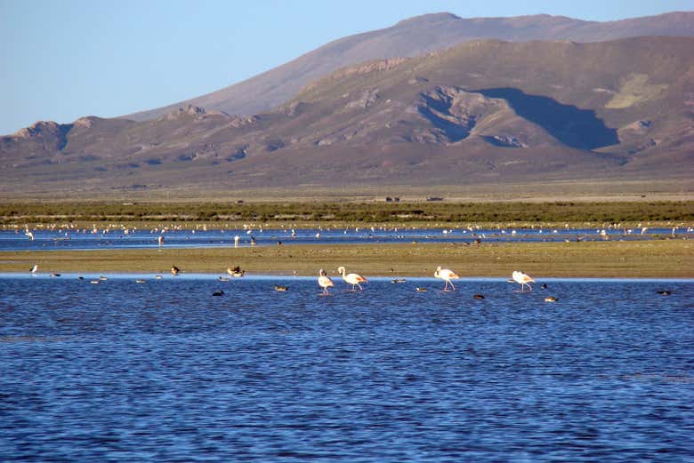 Paisajes de la laguna de los Pozuelos