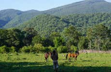 Yungas Horseback Ride + Argentinian Barbecue