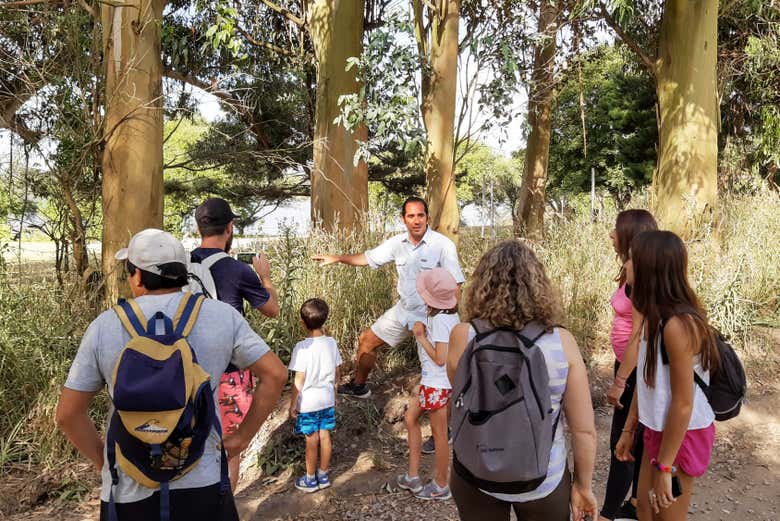 Conociendo la flora de la laguna de los Padres