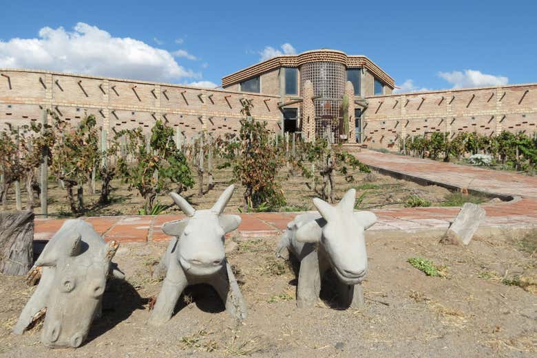 Bodega de Las Arcas del Tolombón