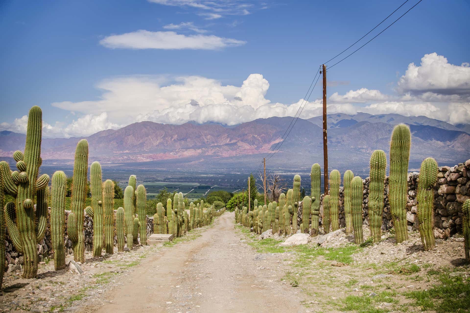 Excursión a Tafí del Valle desde Termas de Río Hondo