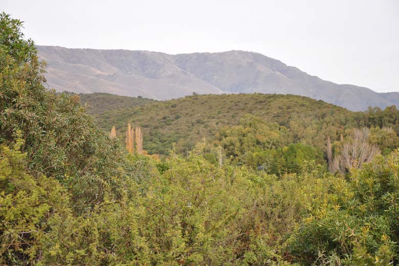Veremos as montanhas de Tucumán, conhecidas como cerros