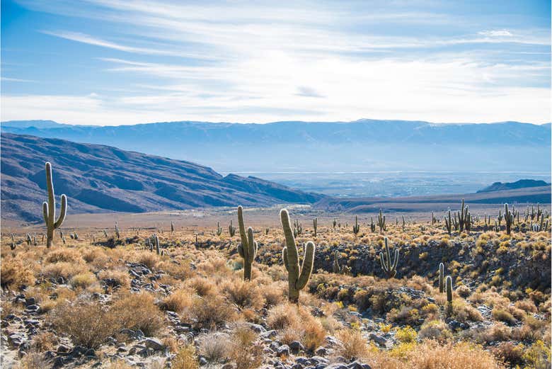 Paisajes del norte de Argentina