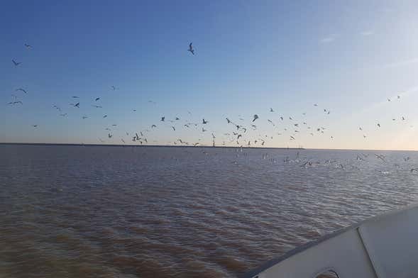 Excursión a la isla Martín García en barco