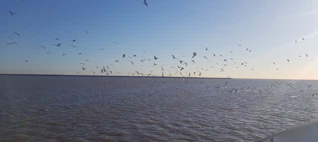 Excursión a la isla Martín García en barco