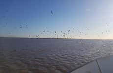 Excursión a la isla Martín García en barco