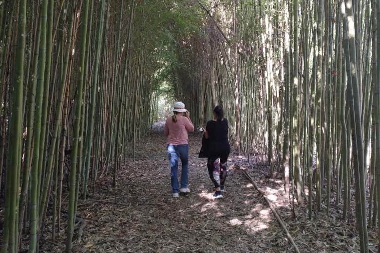 Durante il percorso di trekking