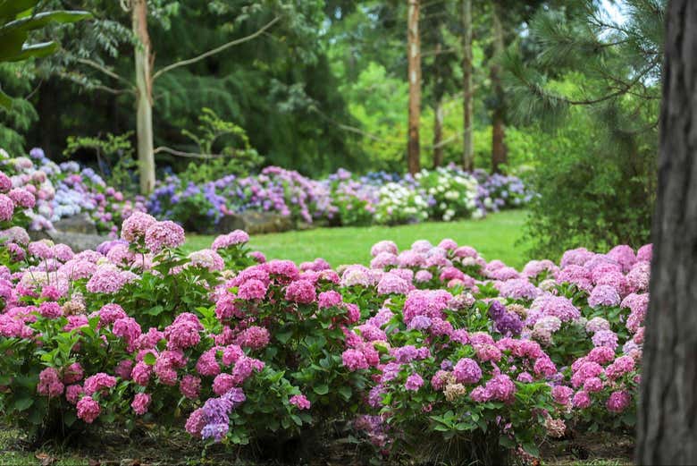 Giardini di El Descanso