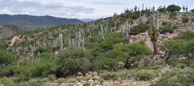 Excursión a la Quebrada de Sapagua + Comunidad de Hornaditas