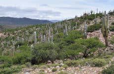 Excursion à la Quebrada de Sapagua + Communauté de Hornaditas
