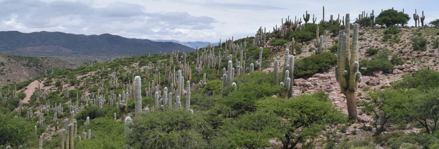 Excursões de um dia em Tilcara