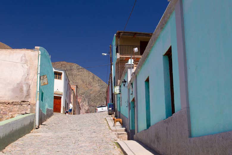 Houses in Iruya