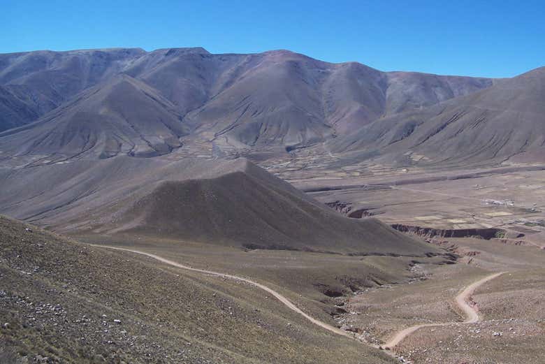 Cerro Morado