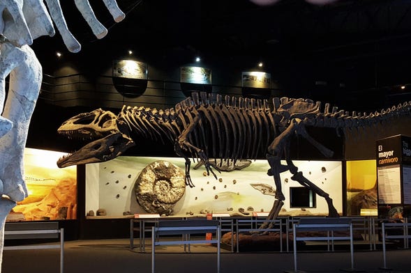 Ingresso do Museu Paleontológico