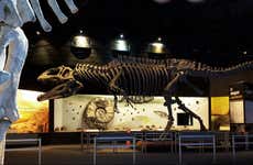 Entrada al Museo Paleontológico