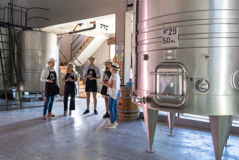 Visitaremos as instalações da vinícola
