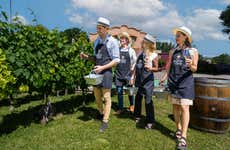 Visita à Bodega Hinojosa