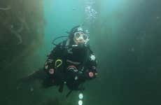 Beagle Channel Diving