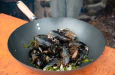 Excursión al Canal Beagle con comida
