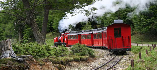 Excursão ao Parque Nacional Terra do Fogo + Trem do Fim do Mundo