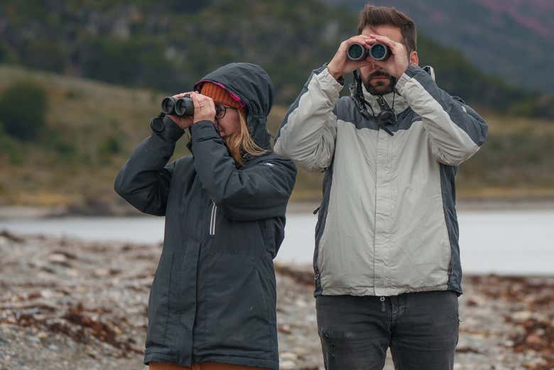 Utilizando binoculares para observar aves