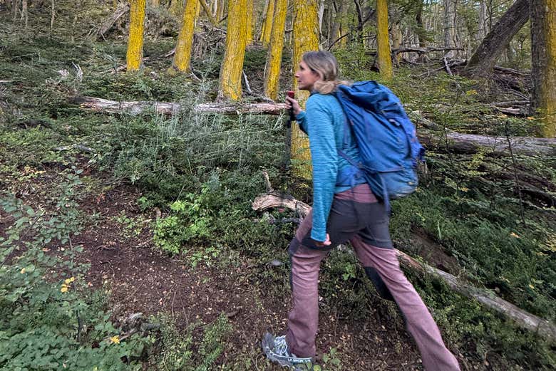 Durante los senderos del trekking por el Cerro Cortez