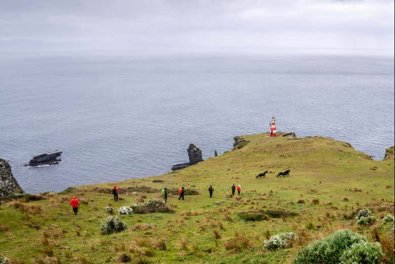 Encontrándonos caballos en el Cabo San Pío 