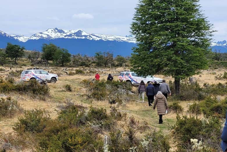 Caminando por los parajes de la Laguna Victoria