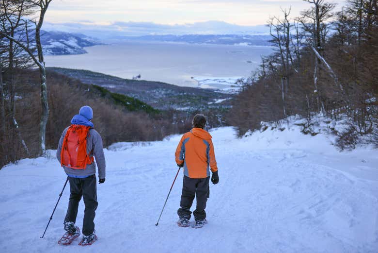 Caminhando com raquetes de neve