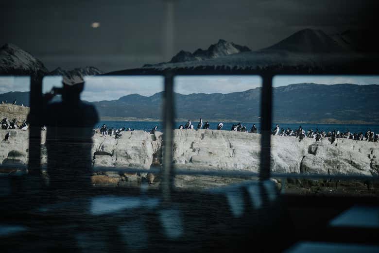 Tirando uma foto do Canal Beagle