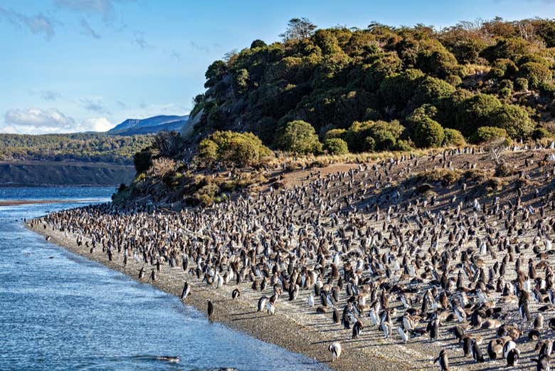 ¡Será una experiencia emocionante!