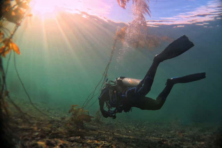 Dive to new depths in Ushuaia