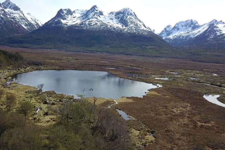 Scenery around the Olivia River