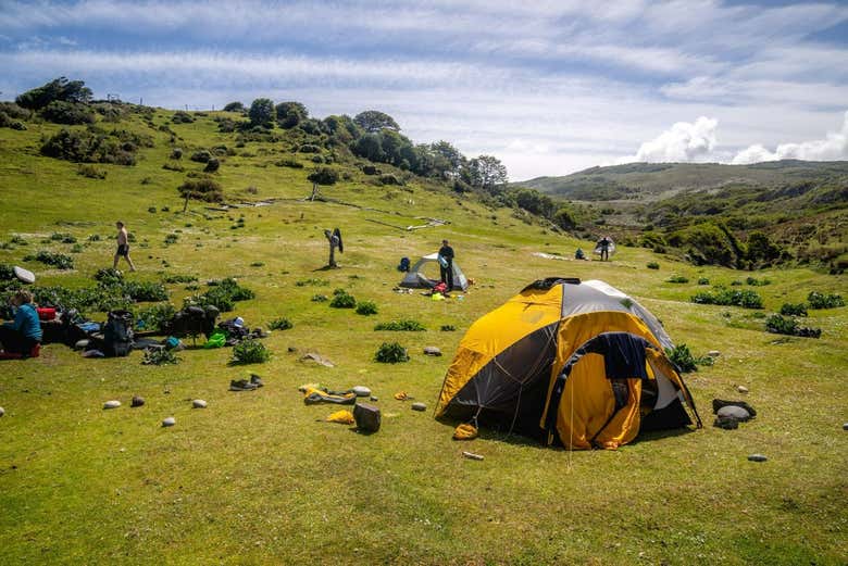 Una experiencia única en la naturaleza de la Península Mitre