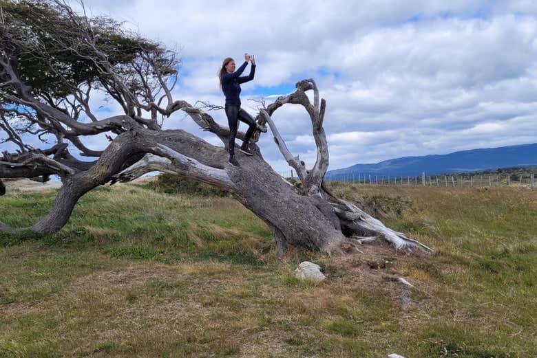 Tomando fotografías del paisaje