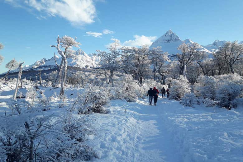 Paisagem invernal na Laguna Esmeralda