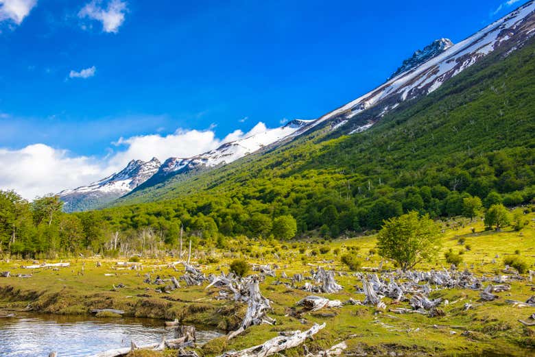 Típico paisaje del Parque Nacional Tierra del Fuego