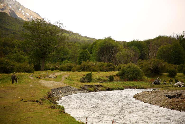 Paesaggi del Parco Nazionale della Terra del Fuoco
