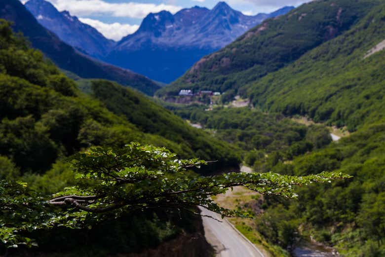 The landscapes around the waterfall
