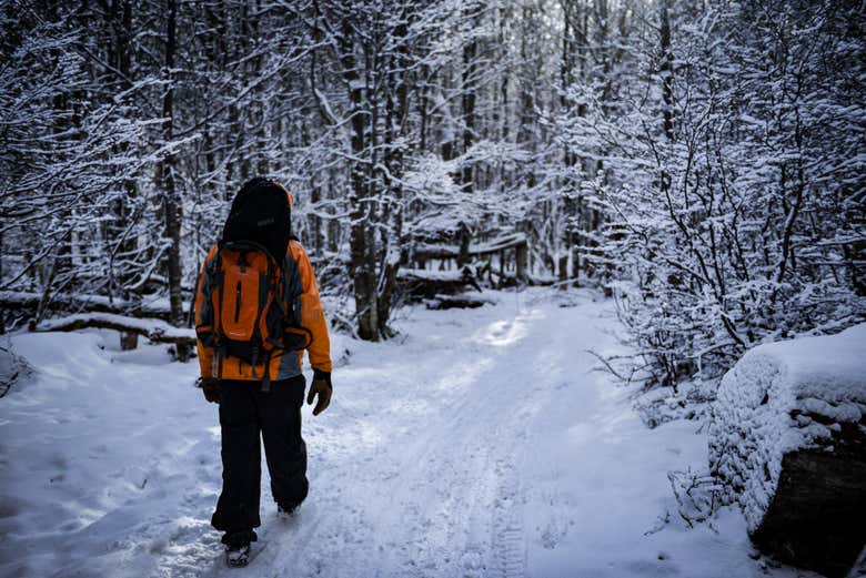 Paseando con raquetas de nieve por Tierra del Fuego